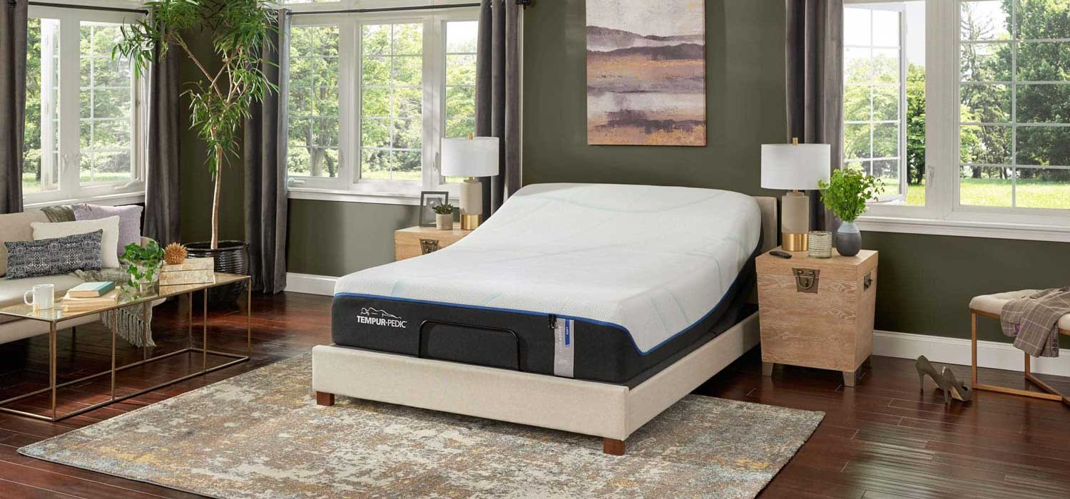 Tempur Pedic Mattress