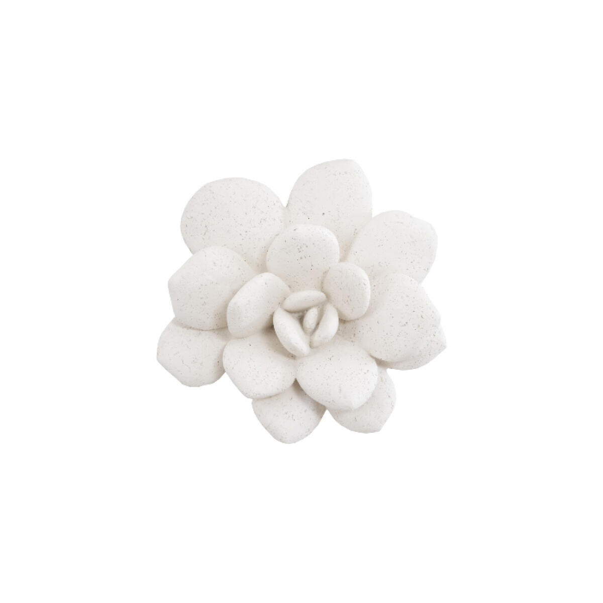 Laui Succulent Wall Art White Stone Laui Succulent Wall Art White Stone - Image 1