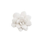 Laui Succulent Wall Art White Stone