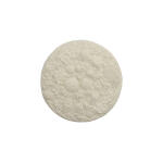 Coral Reef Wall Art Round