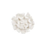 Topsy Turvy Succulent Wall Art White Stone
