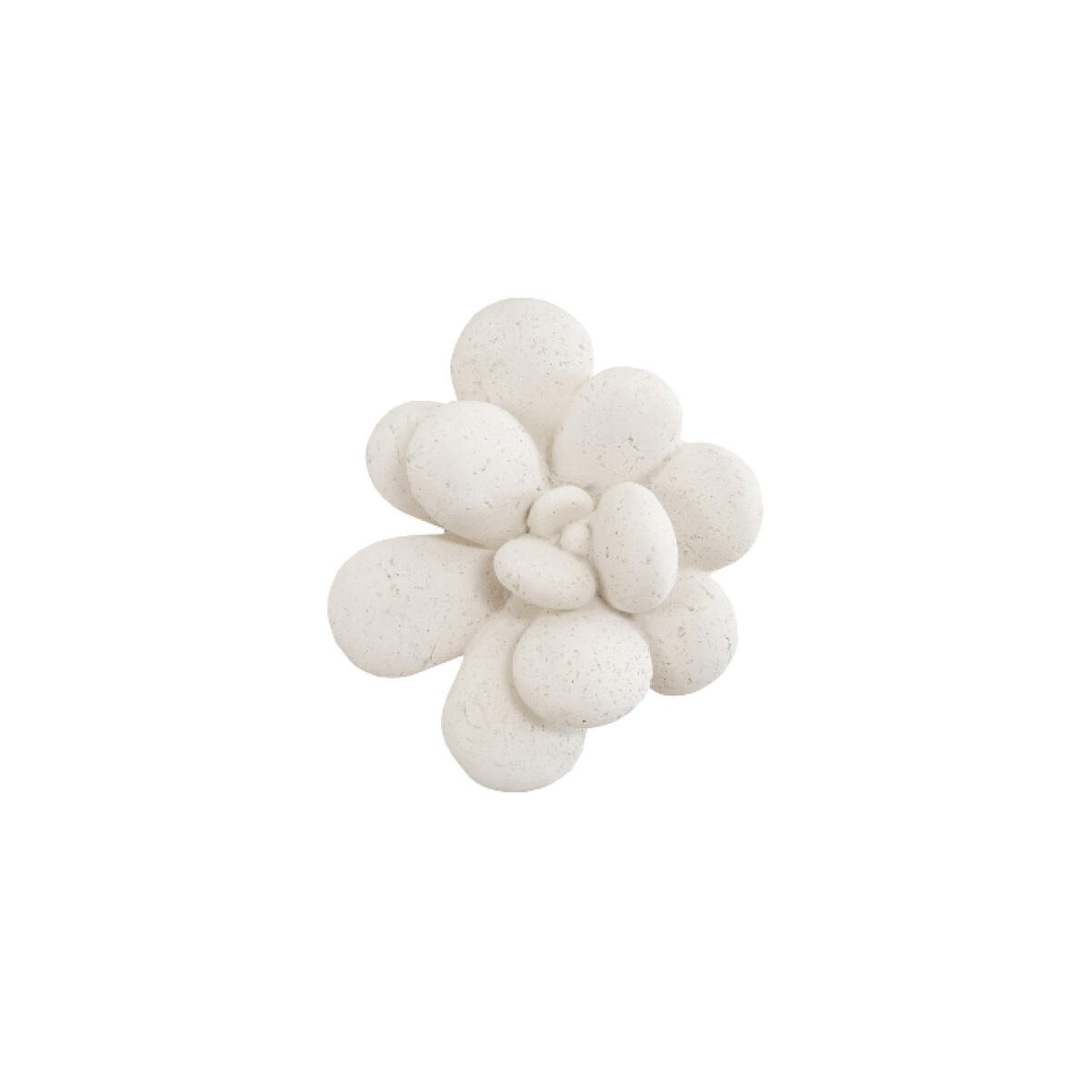 Oviferum Succulent Wall Art White Stone Oviferum Succulent Wall Art White Stone - Image 1