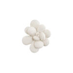 Oviferum Succulent Wall Art White Stone