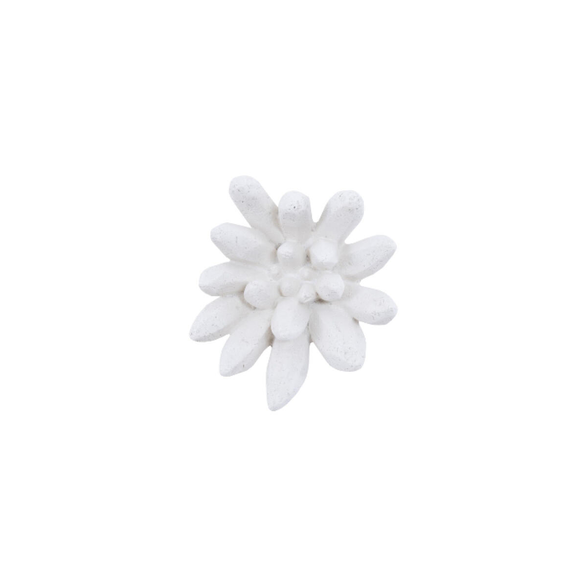 Compactum Succulent Wall Art, White Stone Compactum Succulent Wall Art, White Stone - Image 1