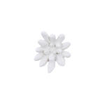 Compactum Succulent Wall Art, White Stone