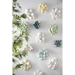 Oviferum Succulent Wall Art White Stone - Image 2